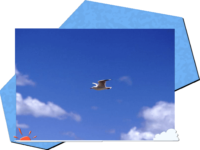 �t���[��